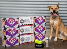 Urban Underdog Lager Small Pic