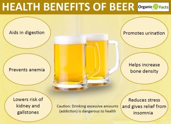 10 Health Benefits of Drinking Beer