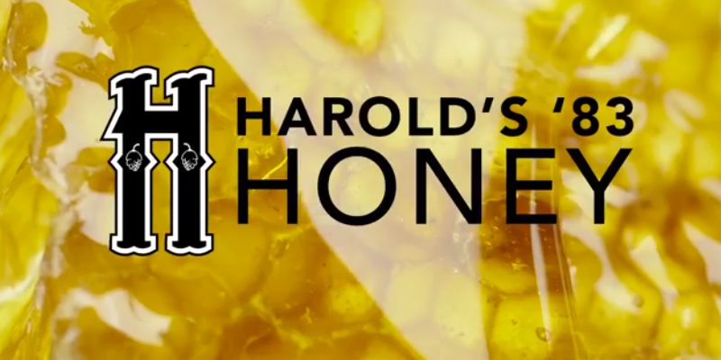 Haymarket Beer Company Harold’s ’83 Honey
