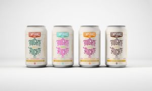 Temperance Beer Co. Announces 2021 Might Meet Right Line-Up