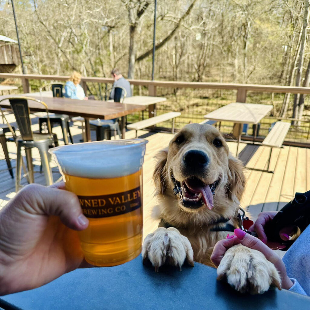 Dog Friendly at The Post by Drowned Valley Brewing