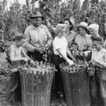 beer movie - Silent Film